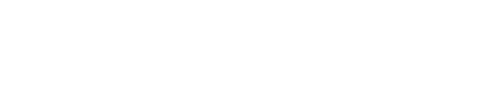 Skylark+Owl Retailers